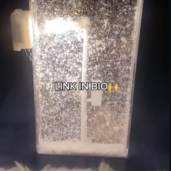 لينك ضوء
